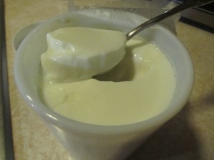 Amazing Home Made yogurt!